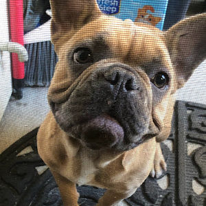 Meet your Posher, Maria